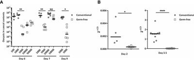 The Absence of Gut Microbiota Alters the Development of the Apicomplexan Parasite Eimeria tenella